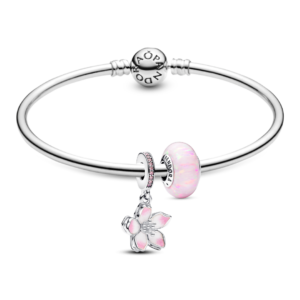 Bộ Vòng Charm Pandora Vẻ Đẹp Rạng Rỡ