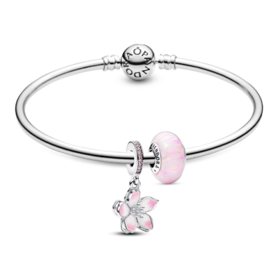 Bộ Vòng Charm Pandora Vẻ Đẹp Rạng Rỡ